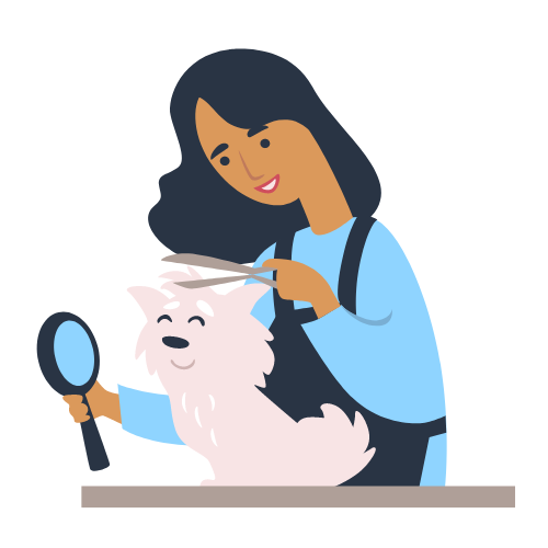 PETPET STORE Australia Online Pet Store